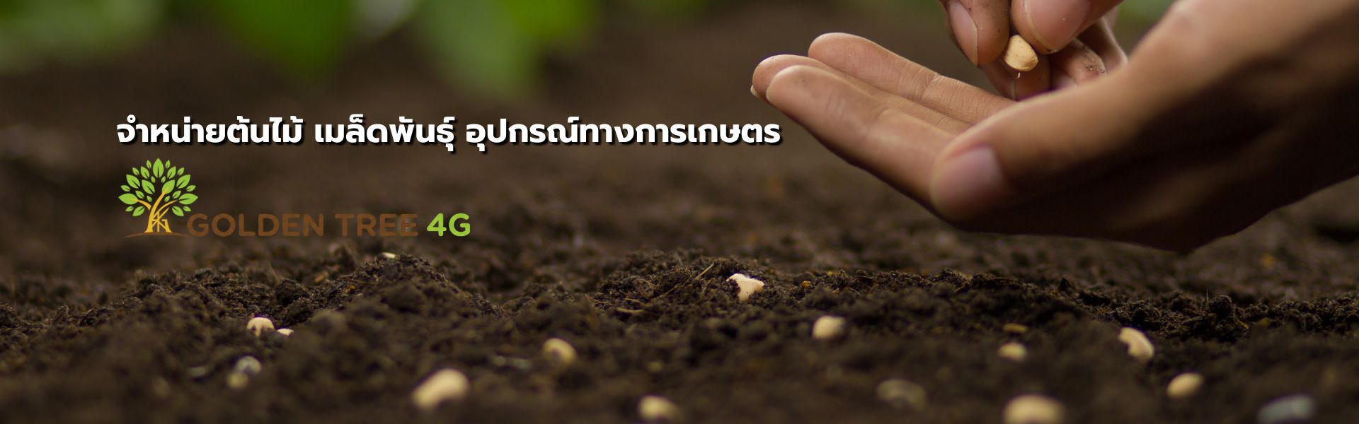 Banner - - บริษัท โกลเด้นทรี 4จี