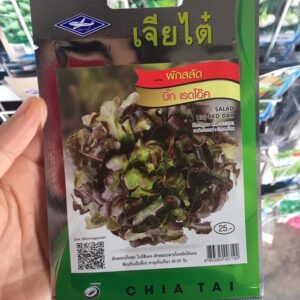 เมล็ดพันธ์ุผักสลัดเรดโอ็ค